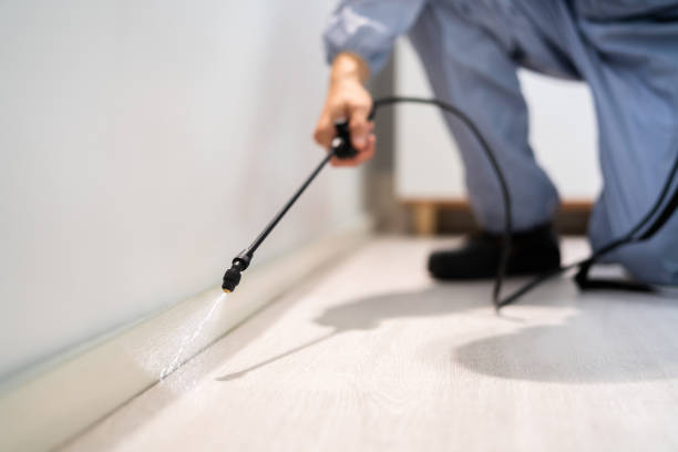 Licensed Pest Control service in Rutherford, NJ - Show Me Pest Control